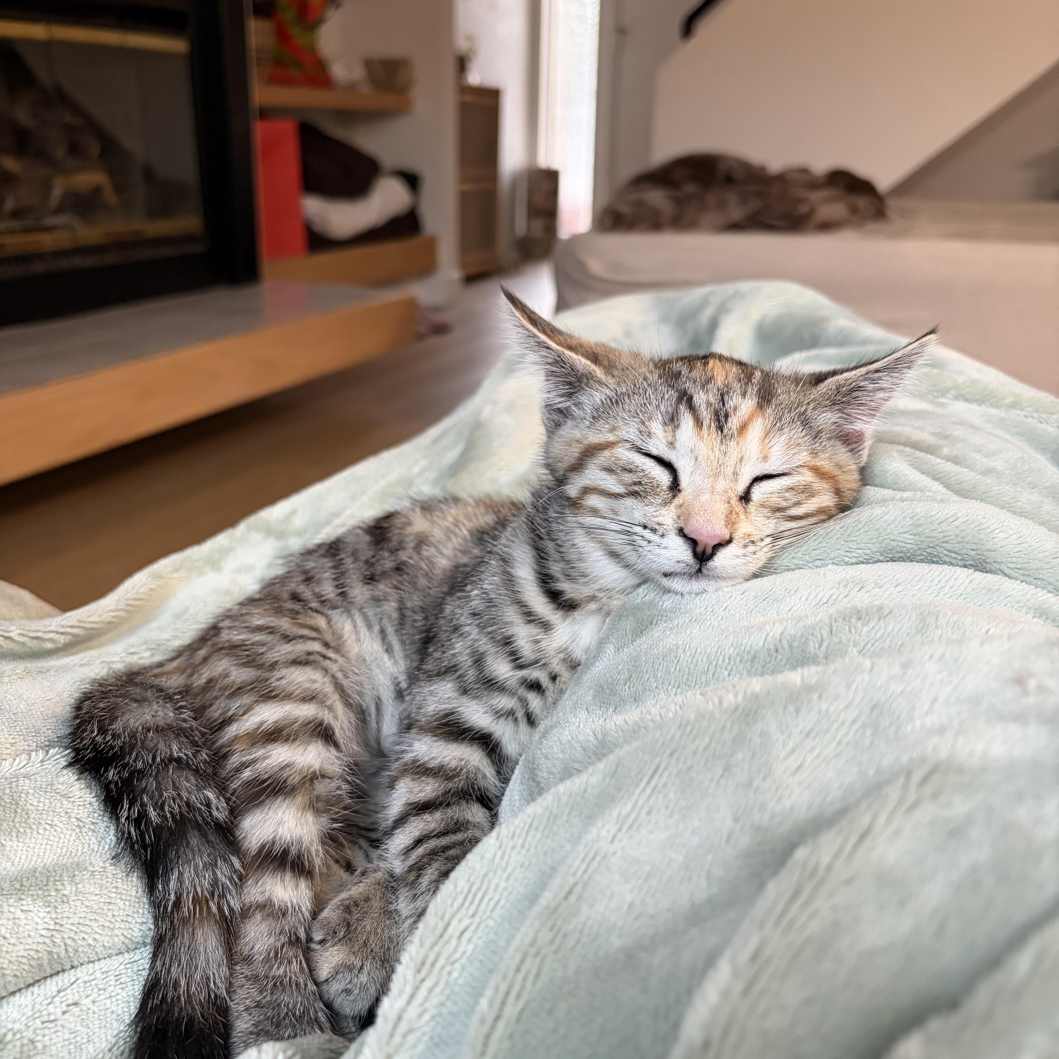 KitKat thumbnail 2