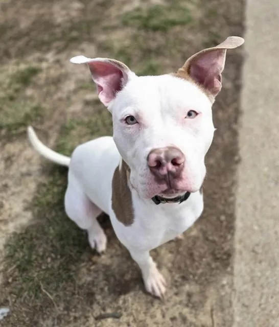 Jimmy Neutron thumbnail 2