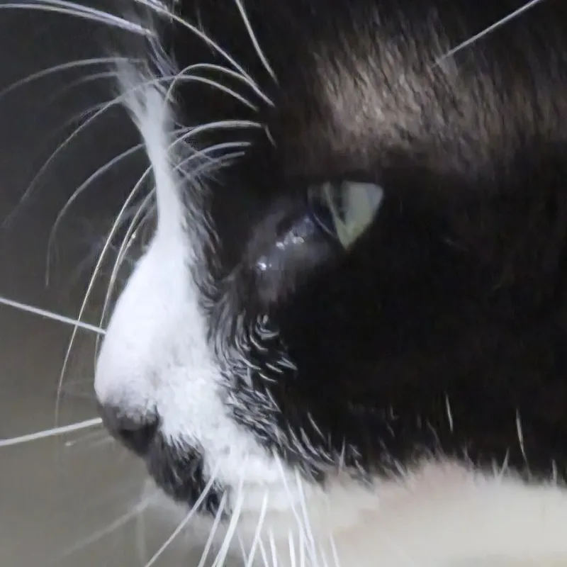 Eddy thumbnail 2