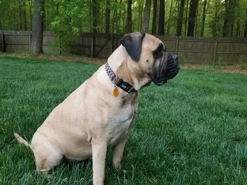 Nadine   Va thumbnail 3