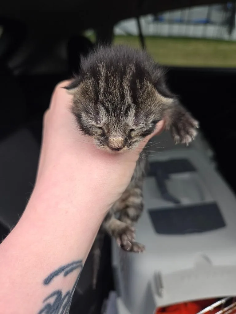 Minnie thumbnail 2