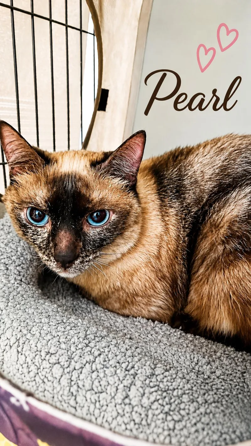 Pearl
