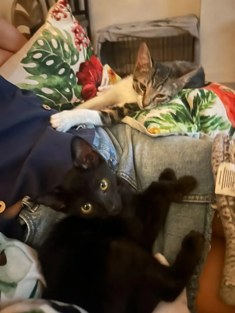 Benny and Billy thumbnail 4
