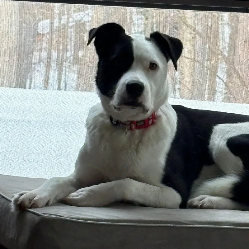 Ms. Gorgeous Gloria thumbnail 2