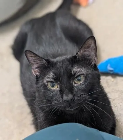 JiJi thumbnail 2
