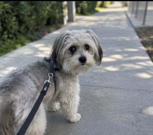 Zeke