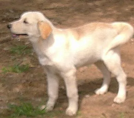 Hudson thumbnail 4