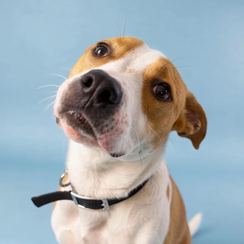 Buzz Lightyear thumbnail 2