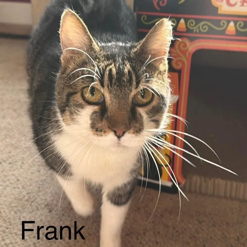 Frank