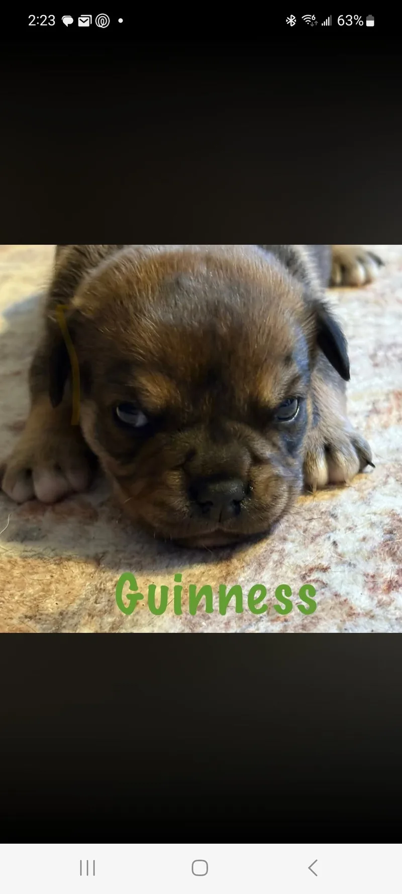Guinness thumbnail 2