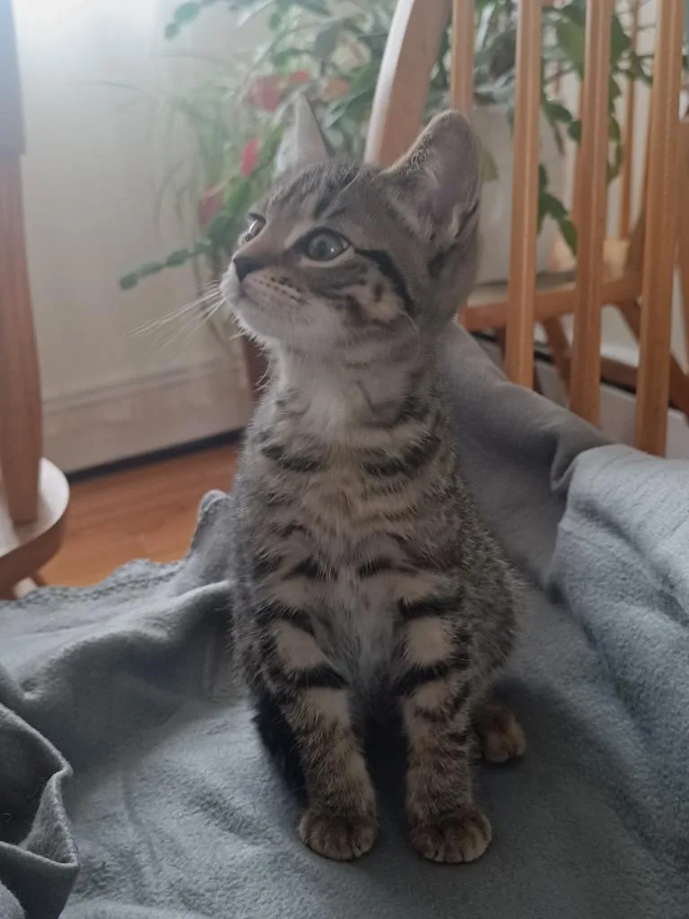 Corey And Murphy thumbnail 5