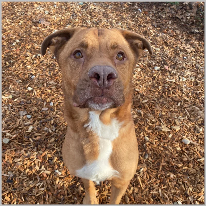 Link Gci Trained Graduate!! thumbnail 2