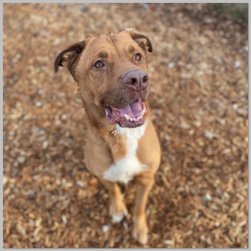 Link Gci Trained Graduate!! thumbnail 3