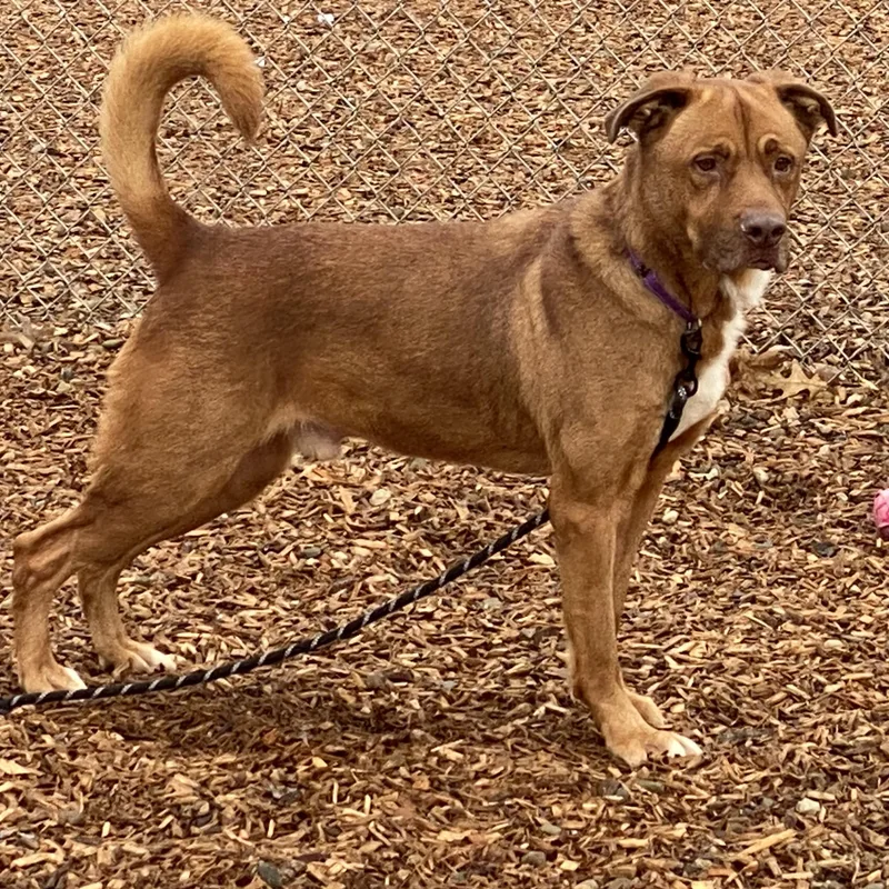 Link Gci Trained Graduate!!