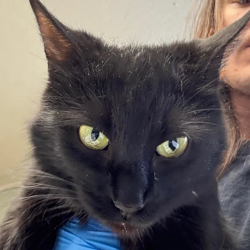 Mama Frankie thumbnail 2