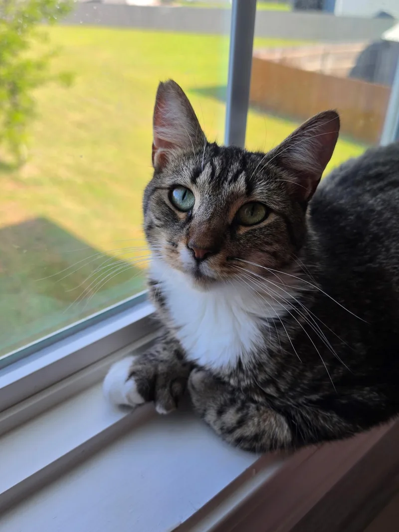 Janie thumbnail 5