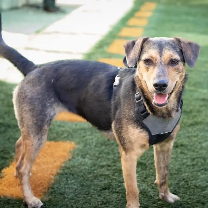 Sally Sue thumbnail 2