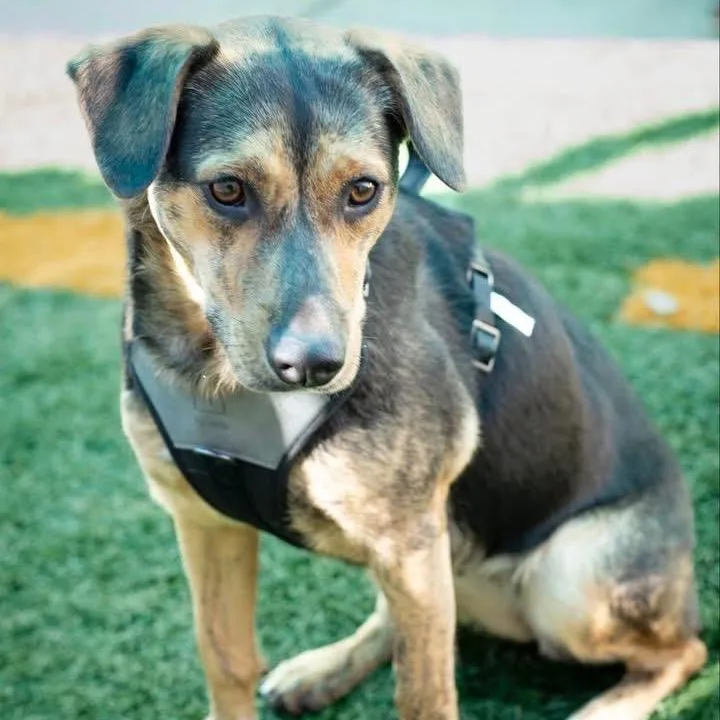 Sally Sue thumbnail 3