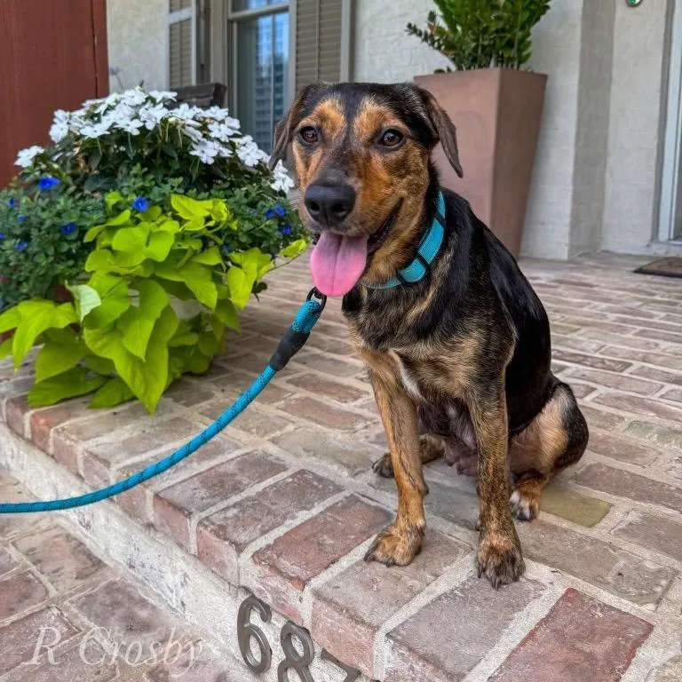 Sally Sue thumbnail 4