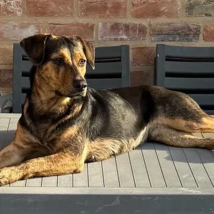 Sally Sue thumbnail 5