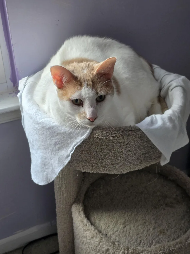 Tuckersn Diabetic thumbnail 2