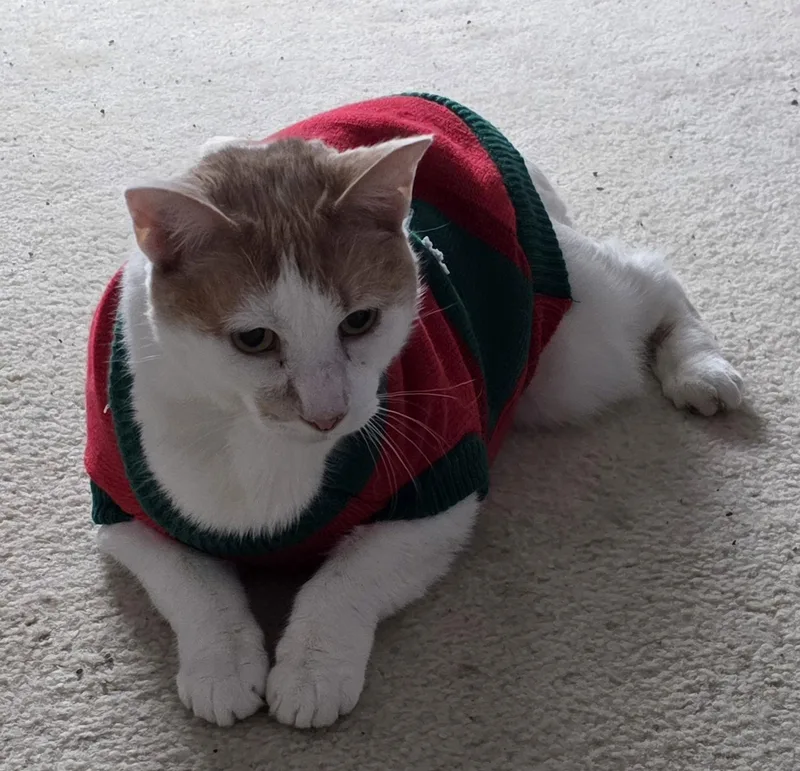 Tuckersn Diabetic thumbnail 3