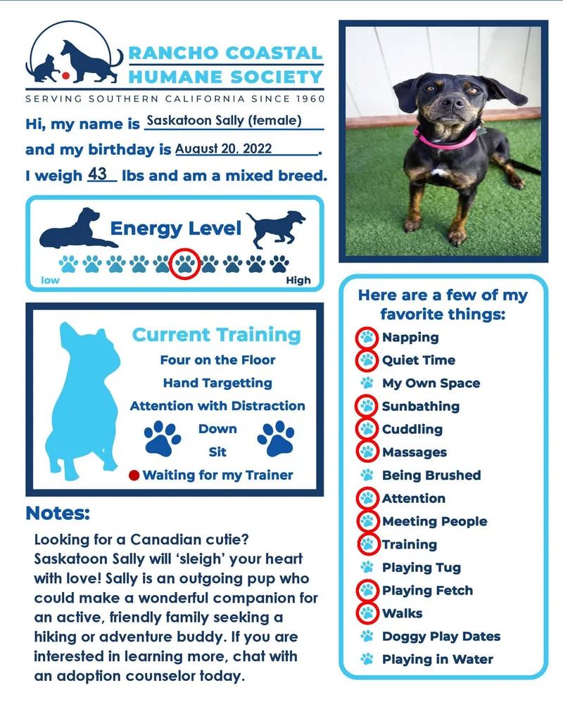 Saskatoon Sally thumbnail 2