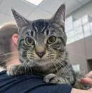 Jenkins thumbnail 2