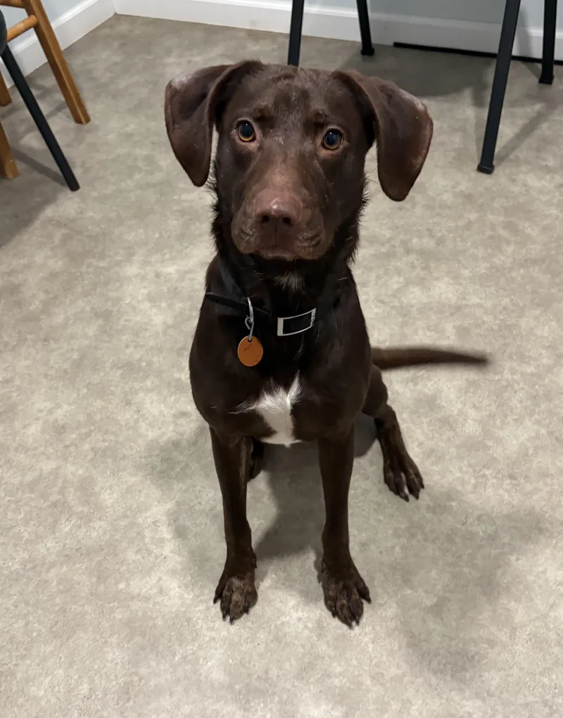 Charlie