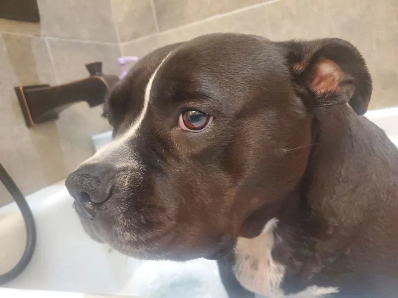 Gracie  Portage  thumbnail 3