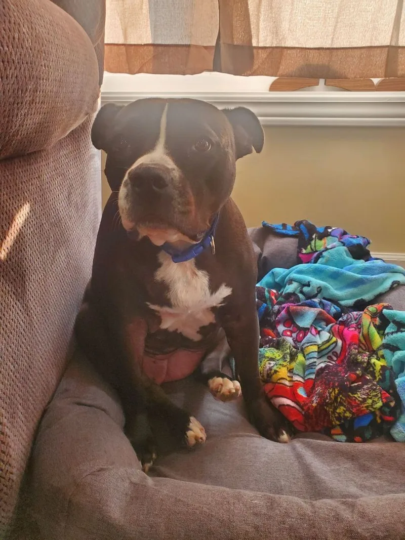 Gracie  Portage  thumbnail 5