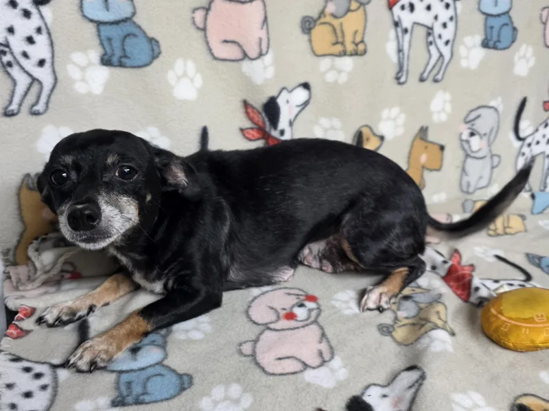 Mildred thumbnail 2