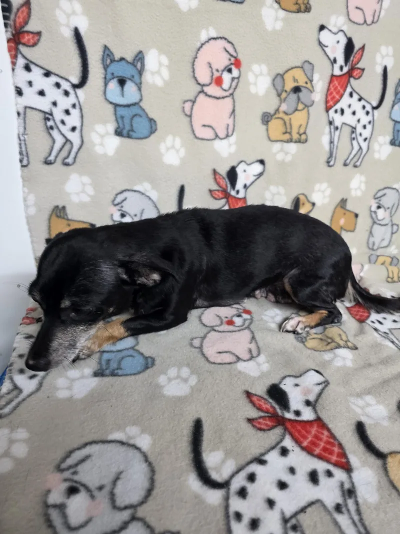 Mildred thumbnail 6