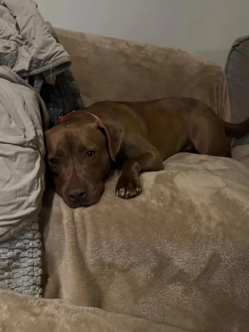 Freckles thumbnail 2