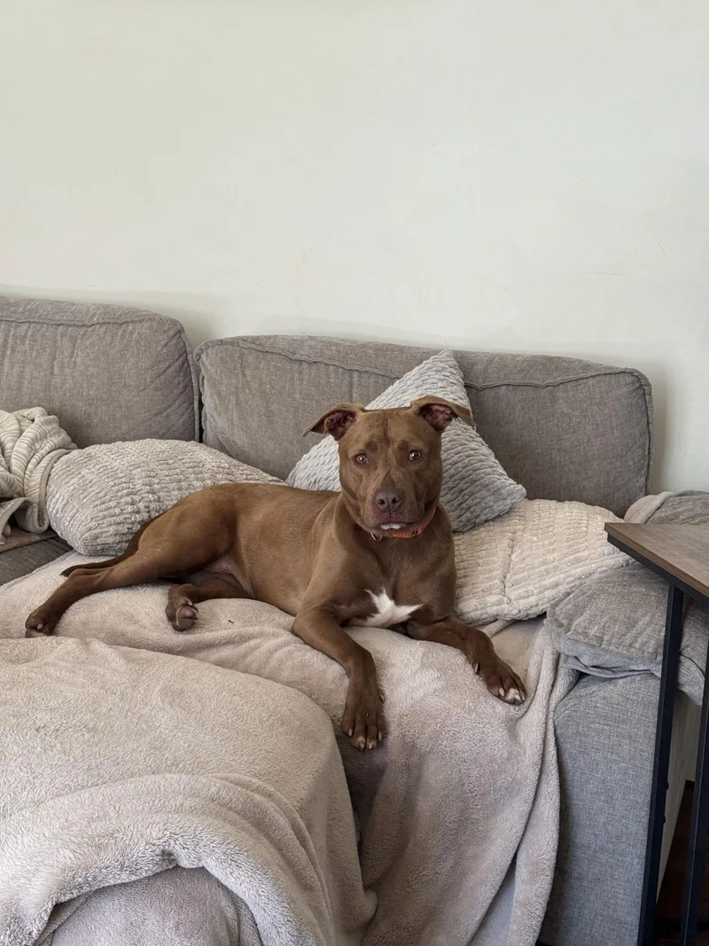 Freckles thumbnail 3