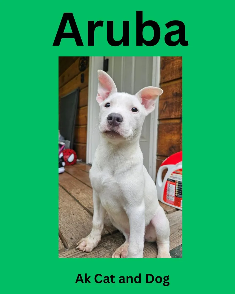 Aruba