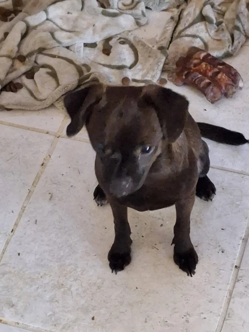 Zuri thumbnail 2