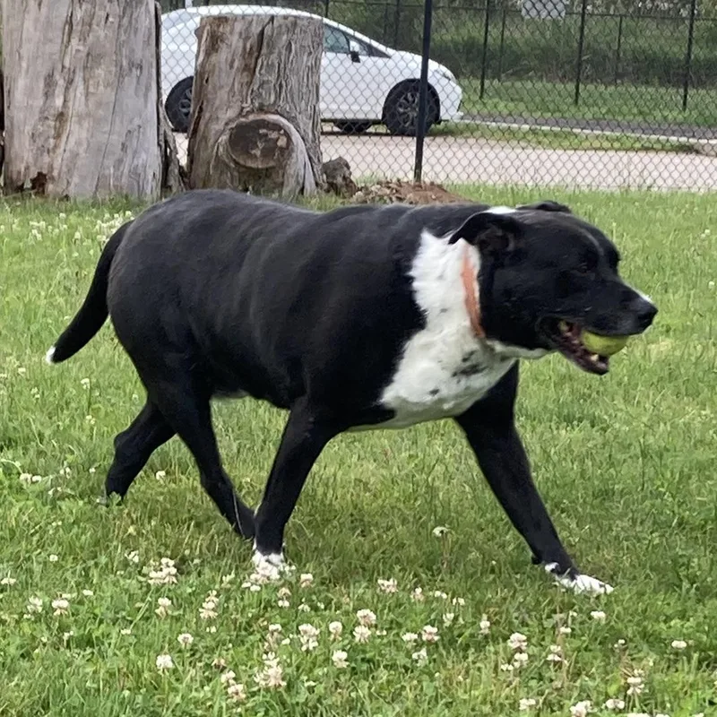 Blake  Watch Me thumbnail 3