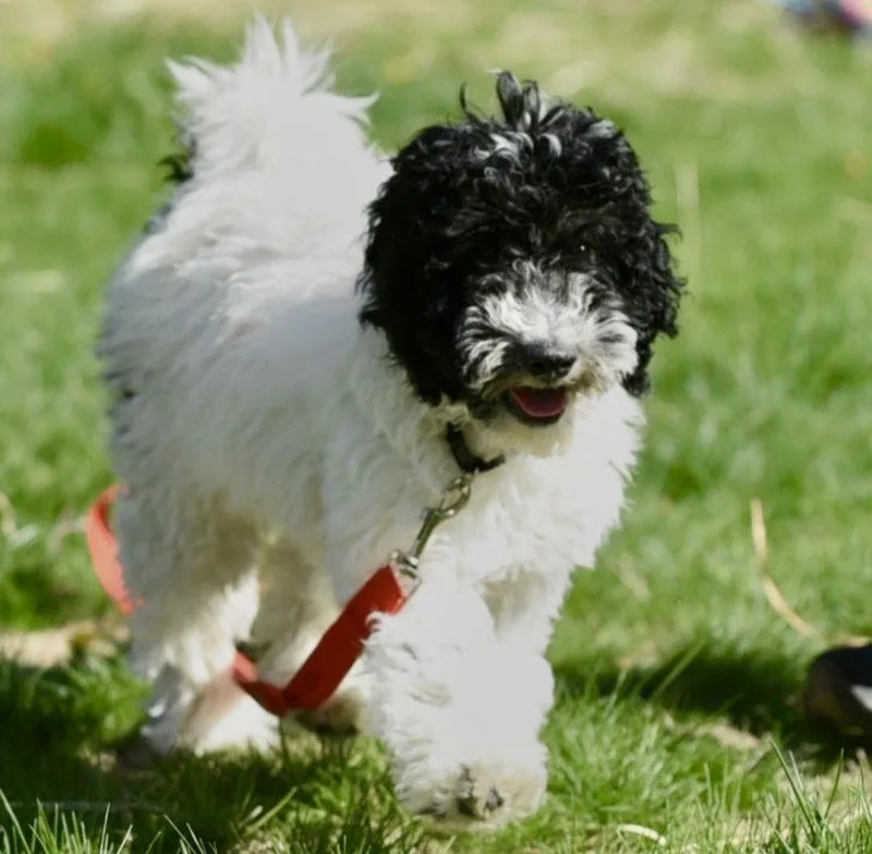 Fiona Nj thumbnail 3