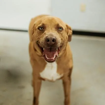 Thatcher thumbnail 2