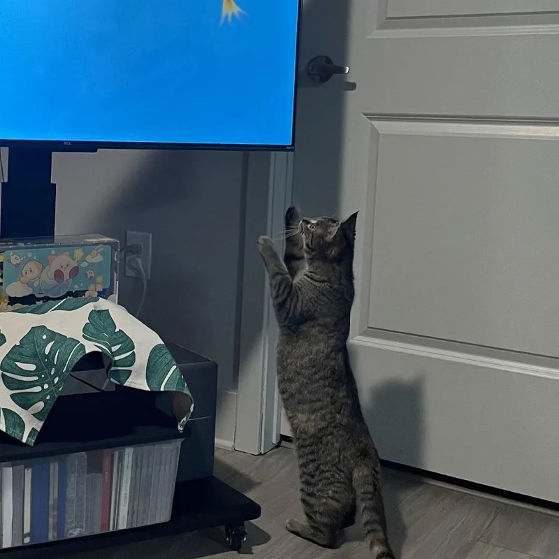 Ms. Pac Man thumbnail 3