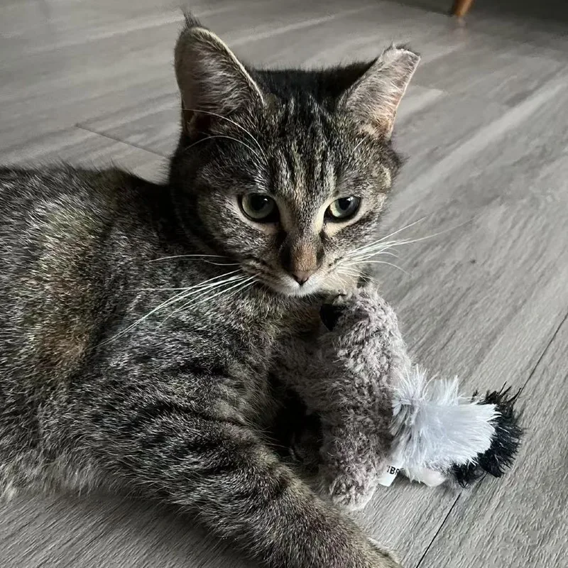 Ms. Pac Man thumbnail 6