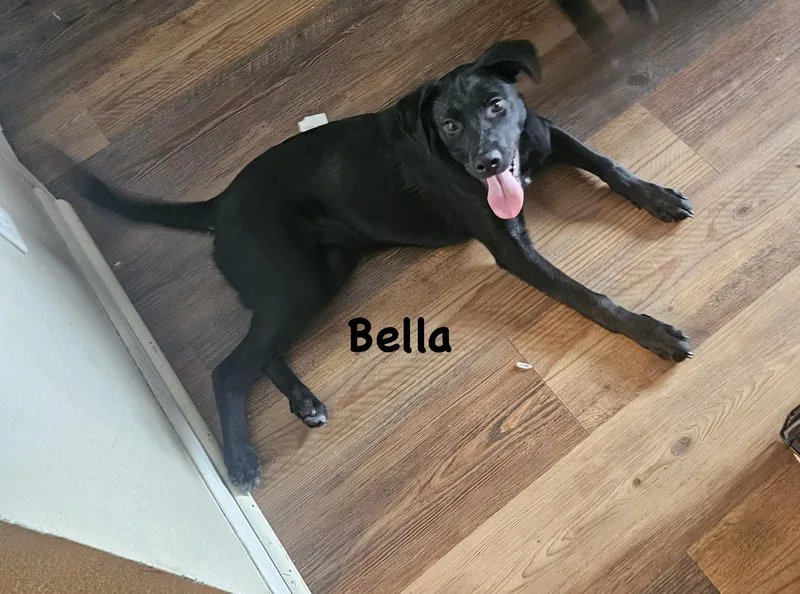 Bella