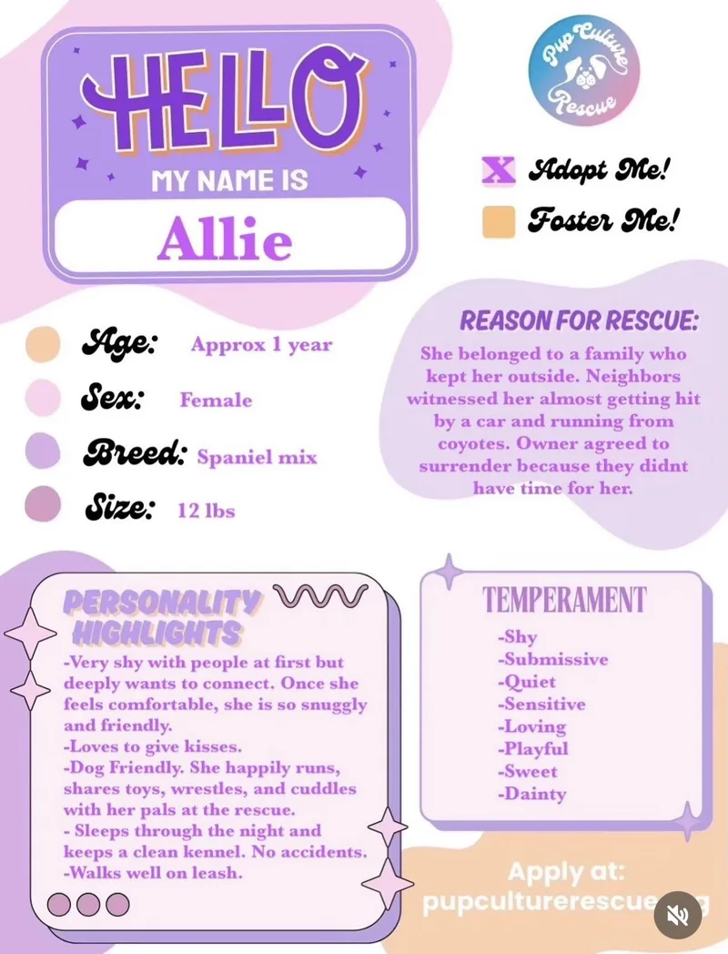 Allie thumbnail 5
