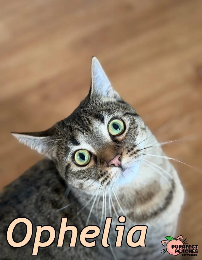 Ophelia thumbnail 2