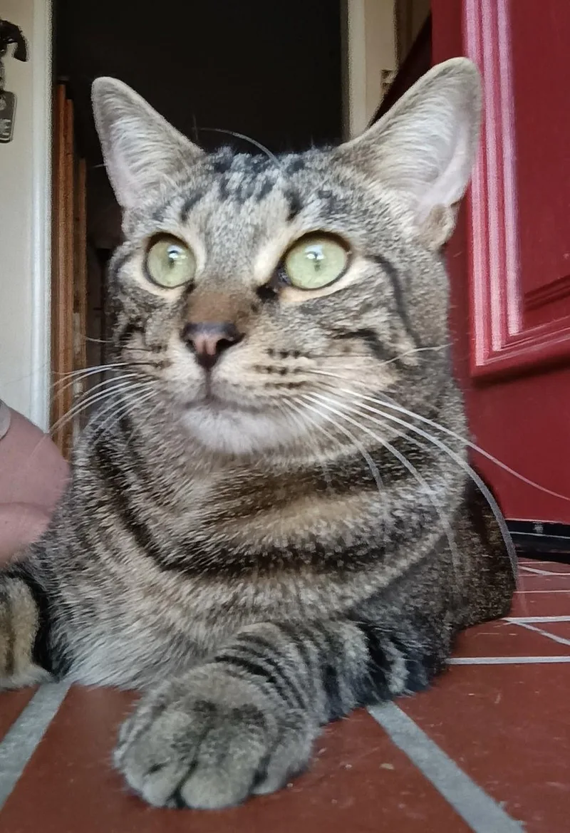 Tim Jamal thumbnail 3