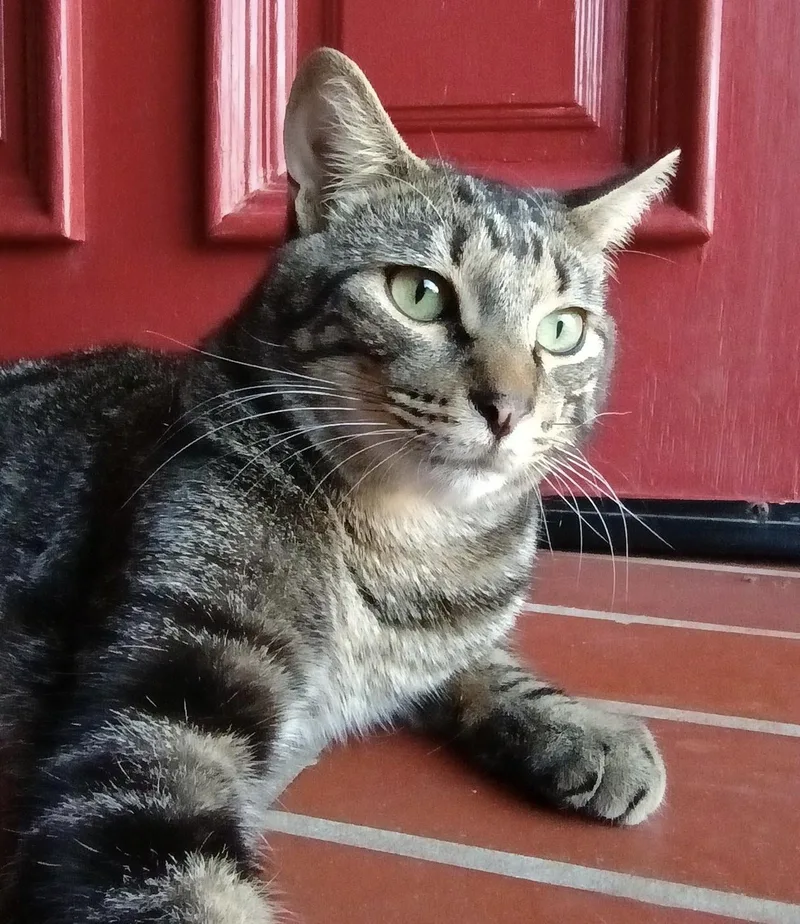 Tim Jamal thumbnail 4