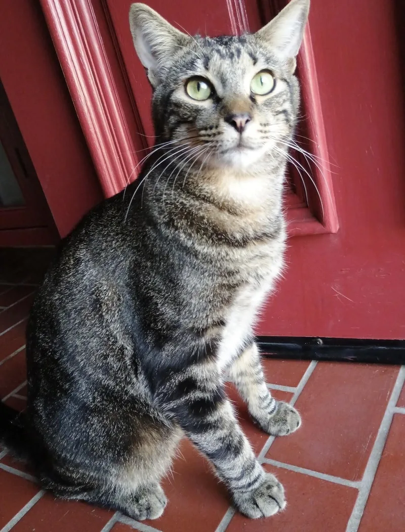 Tim Jamal thumbnail 5