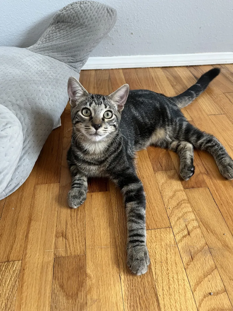 Tim Jamal thumbnail 6