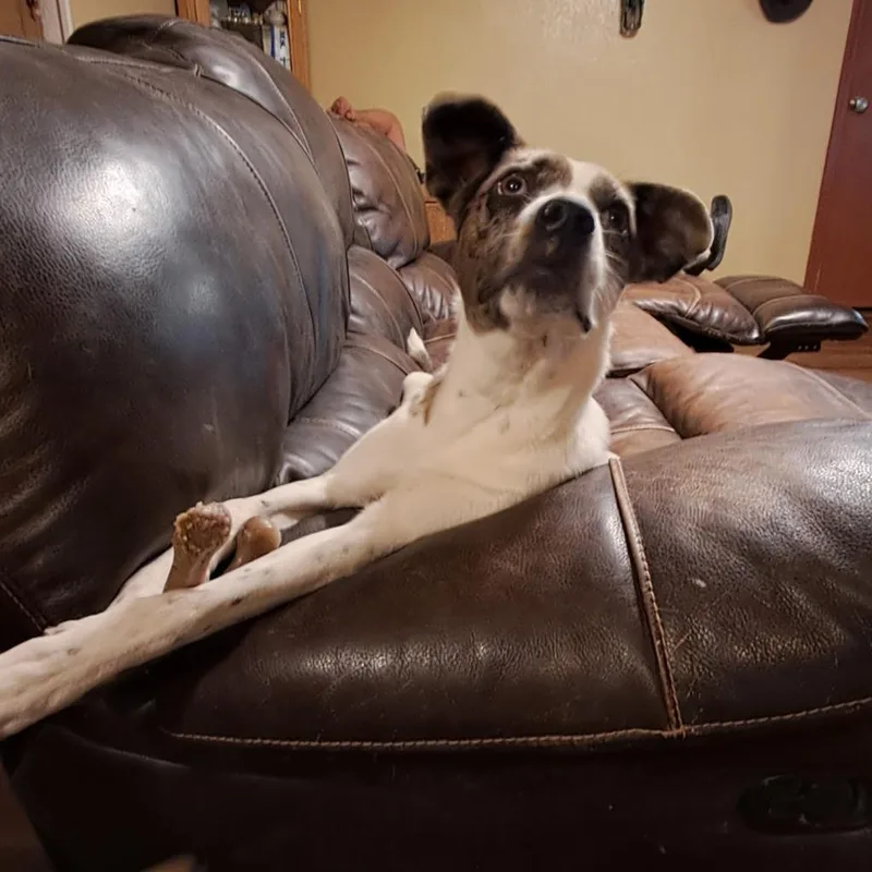 Helena Jum thumbnail 4